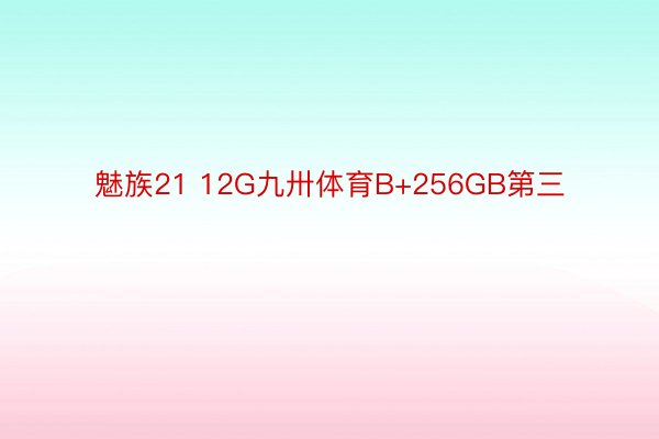 魅族21 12G九卅体育B+256GB第三